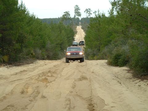 1995 Ford Bronco - Several SUVs drive down a sandy, rutted road surrounded by pine trees.