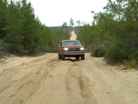 1995 Ford Bronco - A red Ford Bronco drives down a sandy road surrounded by pine trees.