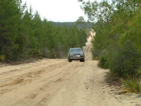 1995 Ford Bronco - A gray Ford Bronco navigates a sandy track through a wooded area.