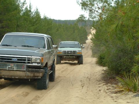 1995 Ford Bronco - Two Ford trucks, a Bronco and a pickup, navigate a sandy trail through a wooded area.