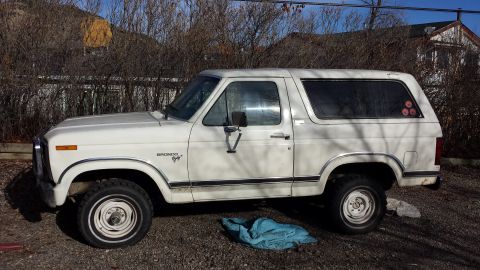 1981 Ford Bronco