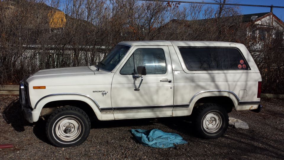 1981 Ford Bronco