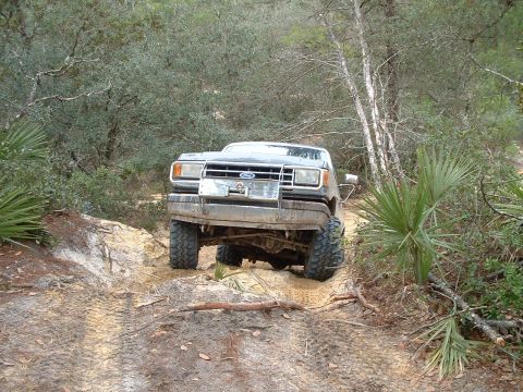 1995 Ford Bronco - Ford Bronco navigates a challenging off-road trail with dense foliage.