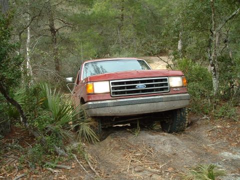 1995 Ford Bronco - A red Ford F-150 navigates a dirt path through a wooded area.