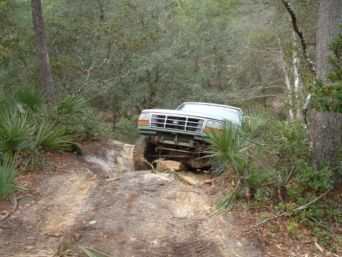 1995 Ford Bronco - This 1995 Ford Bronco navigates a challenging off-road trail surrounded by dense foliage.