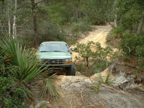 1995 Ford Bronco - A green 1995 Ford Bronco navigates a sandy, wooded trail.