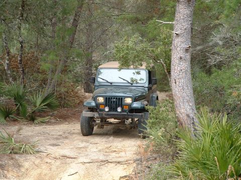 1995 Ford Bronco - A Jeep Wrangler navigates a wooded trail, its front end visible as it drives towards the camera.