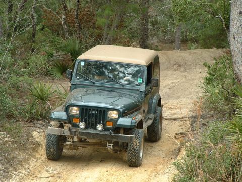1995 Ford Bronco - A green Jeep Wrangler navigates a dirt path surrounded by trees and brush.