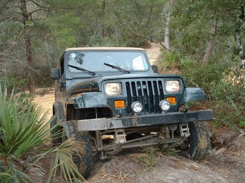 1995 Ford Bronco - A green Jeep Wrangler navigates a muddy, wooded trail, its off-road capabilities.