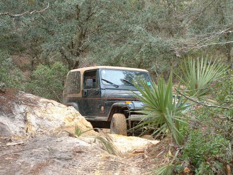 1995 Ford Bronco - A Jeep Wrangler TJ is shown off-roading on a dirt path surrounded by trees and vegetation.