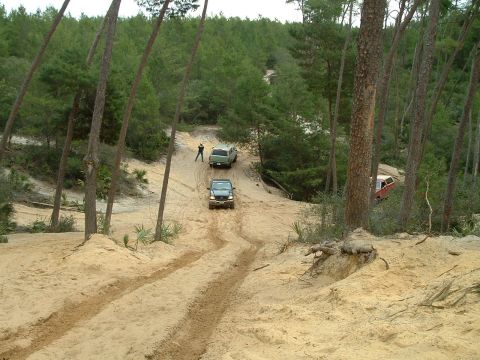 1995 Ford Bronco - Multiple SUVs navigate a sandy track through a dense pine forest, kicking up dust as they go.