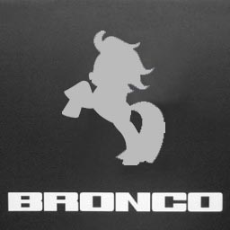 1994 Ford Bronco - A close-up, black and white photo shows the silver Bronco emblem and lettering on a dark background. The emblem is a silhouette of a rearin…