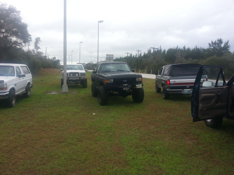Several Ford Broncos and F-Series trucks parked on grass, some with lifted suspensions