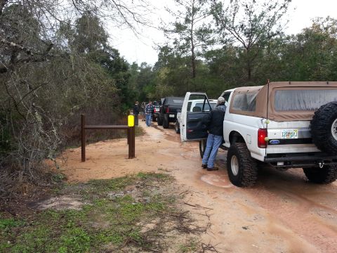 1994 Ford Bronco - A line of Ford Broncos and other SUVs are parked on a dirt road, possibly for an off-road excursion.