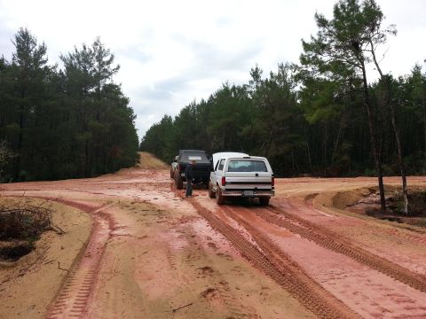 1994 Ford Bronco - Two SUVs are stopped on a dirt road in a wooded area.