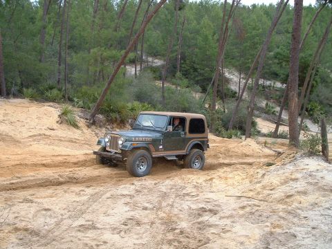 1995 Ford Bronco - A green Jeep CJ-7 Laredo navigates a sandy trail surrounded by pine trees.