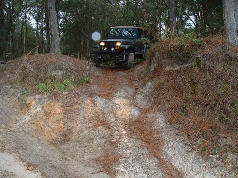 1995 Ford Bronco - Jeep Wrangler navigates an off-road trail through a wooded area.
