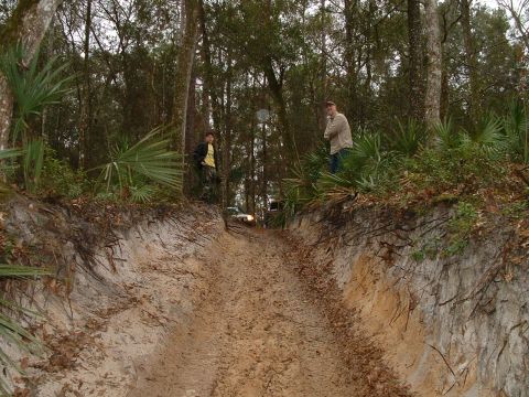 1995 Ford Bronco - Two individuals observe a sandy off-road trail winding through a dense forest.