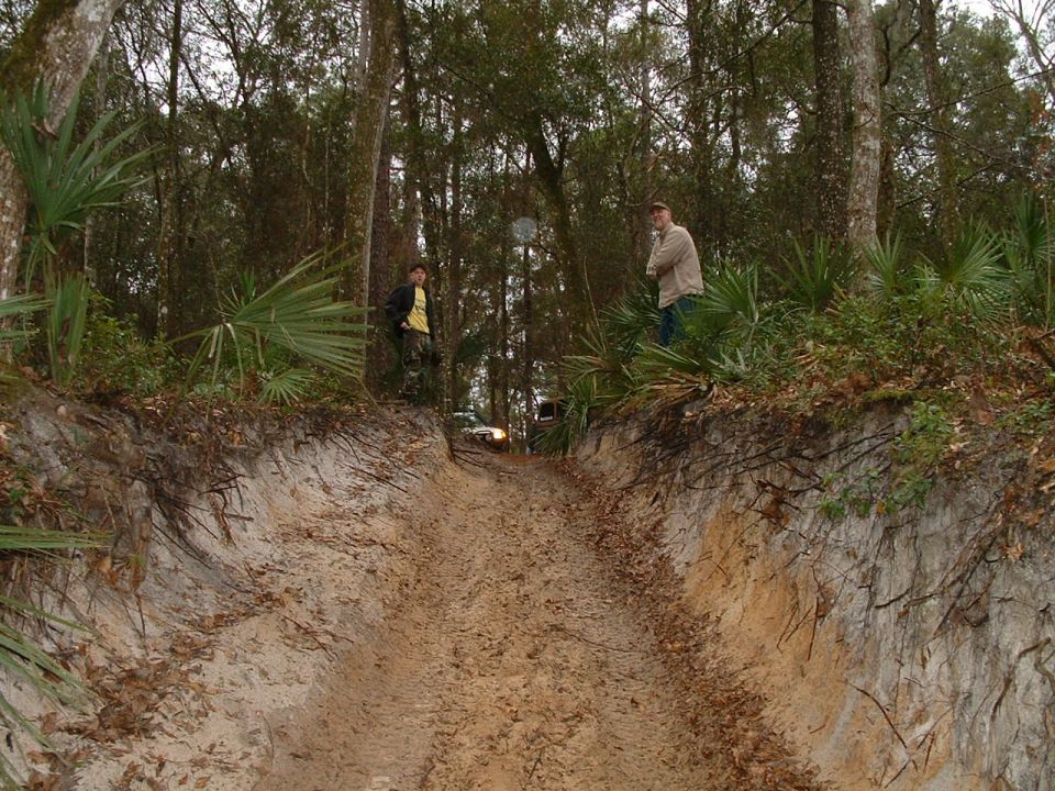 two people stand on the edge of a dirt trail in a wooded area