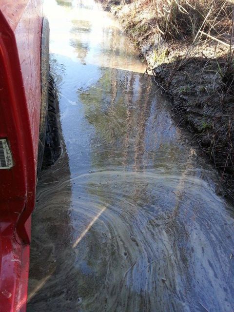 1995 Ford Bronco - A red vehicle navigates a muddy, water-filled path, with reflections of trees visible on the water's surface.