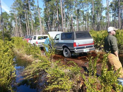 1995 Ford Bronco - Several SUVs, including a 1995 Ford Bronco, are parked off-road in a wooded area with water.