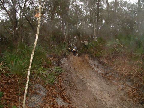 1995 Ford Bronco - An off-road vehicle navigates a steep, muddy incline surrounded by trees and undergrowth.