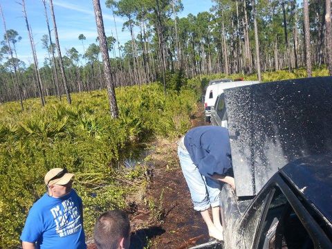 1995 Ford Bronco - Off-roading adventure in a wooded area with multiple vehicles.