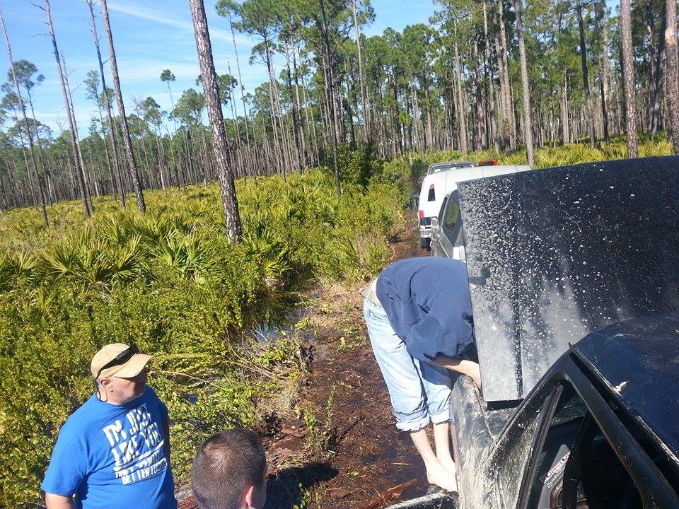 Two people attend to a vehicle with its hood open, another vehicle behind it, in a wooded, swampy area
