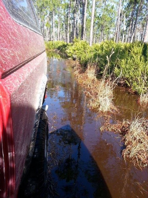 1995 Ford Bronco - A red SUV navigates through a muddy, water-filled path surrounded by trees and brush.