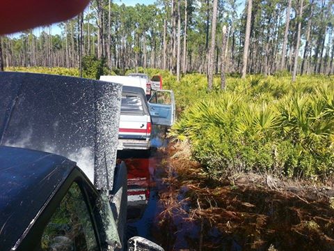 1995 Ford Bronco - Multiple trucks are bogged down in a muddy, wooded area with dense vegetation.