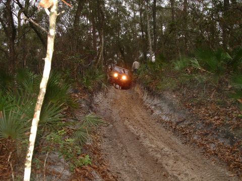 1995 Ford Bronco - A red SUV navigates a challenging muddy incline in a wooded area.