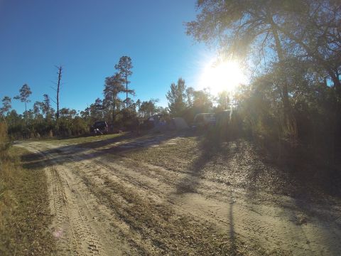 1995 Ford Bronco - Several vehicles are parked in a clearing next to a dirt road under a bright, sunny sky.