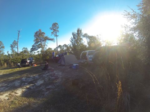 1995 Ford Bronco - A campsite scene with multiple vehicles, tents, and people enjoying the outdoors under a clear sky.