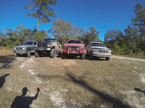 1995 Ford Bronco - Several Ford trucks are parked outdoors on a dry, grassy area with trees in the background.