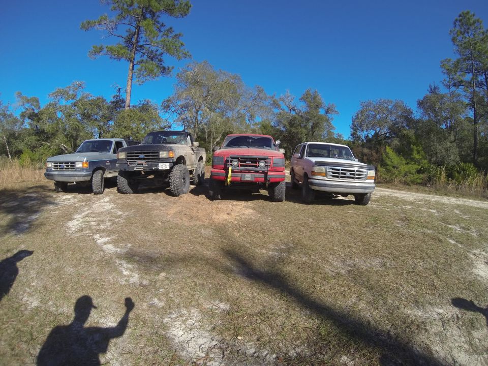 Four Ford trucks parked on a dirt lot under a clear blue sky. The trucks are a light gray, black, red, and white