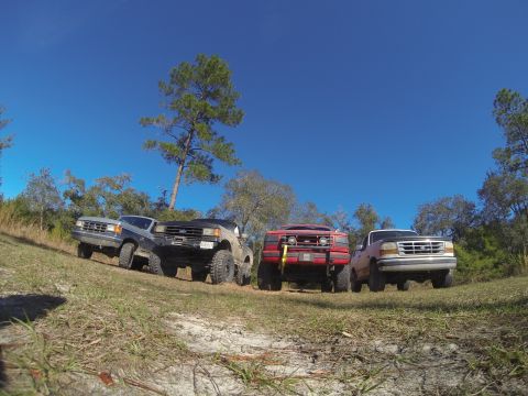 1995 Ford Bronco - A group of four trucks, including a 1995 Ford Bronco, are parked on a grassy incline under a clear blue sky.