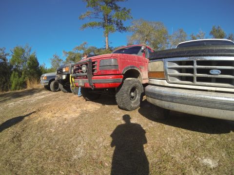 1995 Ford Bronco - Several trucks are lined up outdoors under a clear blue sky.