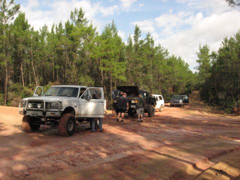 1994 Ford Bronco - A convoy of off-road vehicles, including a white 1992 Ford Bronco, navigates a dirt track through a forest.