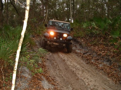 1995 Ford Bronco - Jeep Wrangler navigates a challenging muddy trail through a forest.