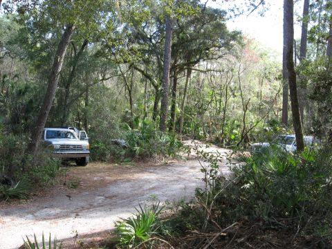 1994 Ford Bronco - Two trucks parked on a dirt road in a wooded area, likely a forest or park.