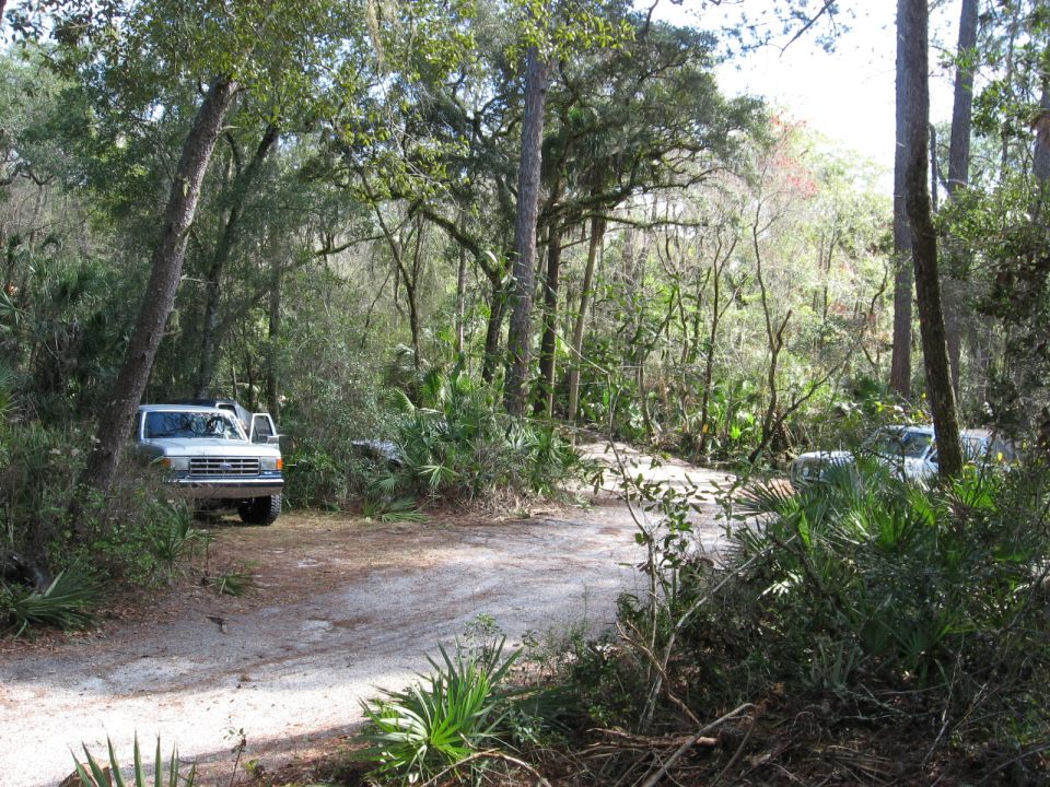 Silver 1992 Ford F-150 parked on dirt road, another truck visible behind it in forest