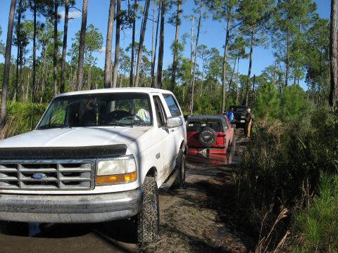 1994 Ford Bronco - A convoy of SUVs navigates a wet, wooded trail under a clear blue sky.