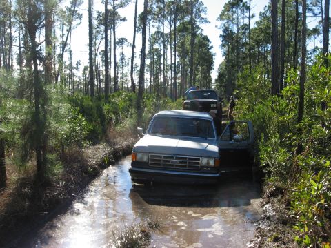 1994 Ford Bronco - Two SUVs navigate a muddy trail in a wooded area.