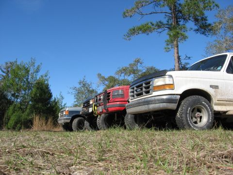 1994 Ford Bronco - Several trucks are lined up in a grassy area under a clear blue sky.