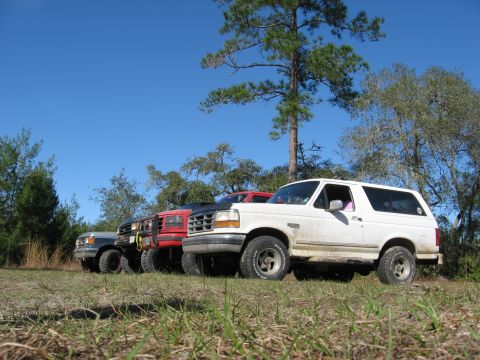 1994 Ford Bronco - Multiple Ford Broncos are lined up outdoors under a clear blue sky.