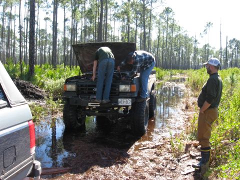 1994 Ford Bronco - Men attempt repairs on a muddy, lifted Ford Bronco in a wooded area with standing water.