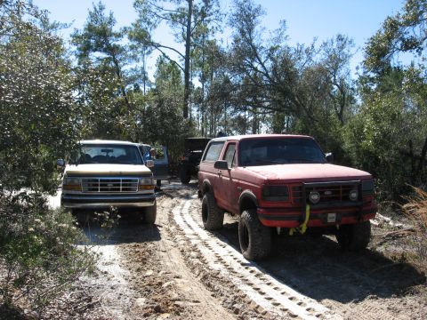 1994 Ford Bronco - Two Ford Broncos and a Jeep drive off-road through trees on a sunny day.