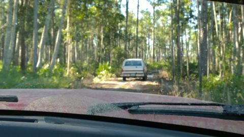 1995 Ford Bronco - A white SUV with a camper shell navigates a dirt path surrounded by dense trees.