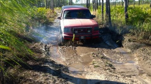 1995 Ford Bronco - A red 1995 Ford Bronco navigates a muddy trail, kicking up water and dirt.