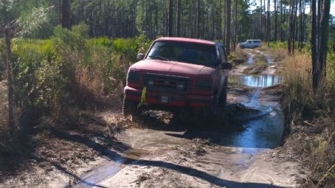 1995 Ford Bronco - Red 1995 Ford Bronco navigating a water-filled dirt path in a wooded area.